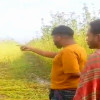 সালথায় হত্যা মামলার পর গ্রেপ্তার আতংকে গ্রাম পুরুষশূন্য, পাট কাটতে বাঁধা দেওয়ার অভিযোগ