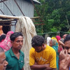 ইঁদুরের গর্তে হাত দিতে গিয়ে সাপের ছোবল, ৩ বছরের শিশুর মৃত্যু
