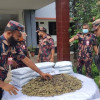 সাতক্ষীরায় বিজিবির অভিযানে ৬ কোটি টাকার ‘কুশ’ জব্দ, আটক ১