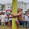 তৈলাক্ত কলা গাছ বেয়ে ওঠা প্রতিযোগিতা