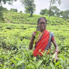 ২ হাজার চা-শ্রমিক ও পরিবারের দৃষ্টিসেবায় ব্র্যাক ব্যাংক ও ভিশনস্প্রিং