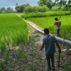 লৌহজংয়ে অবৈধ বালু ভরাট বন্ধে মোবাইল কোর্ট, ৩ কিলোমিটার পাইপ ধ্বংস