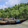 সুন্দরবনে প্রবেশের বিএলসি নবায়নে স্টেশন কর্মকর্তাদের দালাল মারফৎ অতিরিক্তি টাকা আদায়ের অভিযোগ