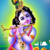 <p>আজ শুভ জন্মাষ্টমী</p>