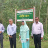 দিনাজপুরে ধান প্রযুক্তি গ্রাম পরিদর্শন করলেন কৃষি মন্ত্রণালয়ের প্রতিনিধি দল