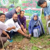 বজ্রপাতের ঝুঁকি কমাতে তালবীজ রোপণ করলেন রাজারহাট ইউএনও