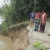 গড়াই নদীর পানি বৃদ্ধির সাথে তীব্র ভাঙন: বিলীন ফসলি জমি, হুমকিতে ঘরবাড়ি ও শিক্ষা প্রতিষ্ঠান