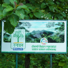 ৪৬ বছর ধরে সবুজ ভবিষ্যৎ গড়ে তোলার পথচলা