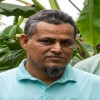 মুকসুদপুরে বাসের চাপায় পথচারী নিহত