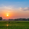 মহম্মদপুর ঘোপ বাওড়ে মুগ্ধতার সূর্যাস্ত, গোধূলির রঙে অপূর্ব প্রকৃতি