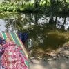 কলারোয়ায় পানিতে ডুবে দুই শিশুর মৃত্যু