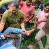 সিএনজিচালিত অটোরিকশা ছিনতাইয়ের চেষ্টা, যুবককে আটক করে গণপিটুনি