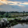 শরতের কবিতা