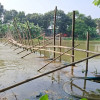 গোপালগঞ্জ খালে ‘বাঁশের বেড়া’ দিয় মাছ শিকার