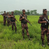 <p>কুষ্টিয়া সীমান্তে চার ভারতীয়কে পুশইনের চেষ্টা, রুখে দিল বিজিবি</p>