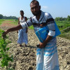 সুবর্ণচরে আদালতের নিষেধাজ্ঞা অমান্য করে সবজি বাগান ধুলিস্যাৎ