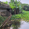 ব্রিজের মুখ ভরাট করে সরকারি জমি দখল