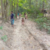 সালথার ফুলবাড়িয়ায় ৩শ' ফুট রাস্তার অভাবে দুর্ভোগে এলাকাবাসী