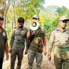 সুন্দরবন ছেড়ে আবারো লোকালয়ে বাঘ, ড্রোন উড়িয়েও মেলেনি সন্ধান