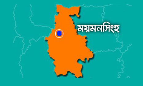 ময়মনসিংহের মুক্তাগাছায় বিশ্ব মা দিবস পালিত