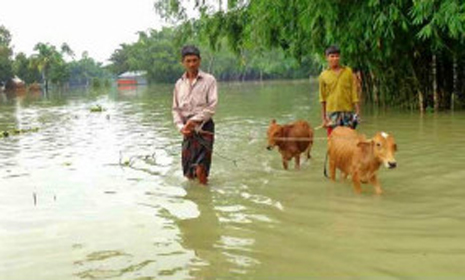 রংপুর ও সিলেটের বিভিন্নস্থানে হঠাৎ বন্যা