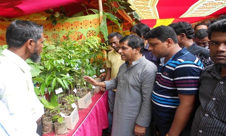 গোয়ালন্দে তিন দিন ব্যাপী বৃক্ষমেলা শুরু