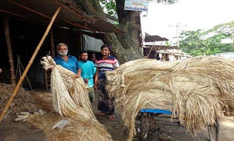 কাঙ্ক্ষিত মূল্য না পাওয়ায় ফরিদপুরে পাটচাষীরা হতাশ