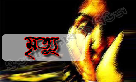 কাপাসিয়ায় টমটমের নীচে চাপা পড়ে স্কুল ছাত্রের মৃত্যু