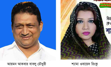 সালথা-নগরকান্দার রাজনীতি