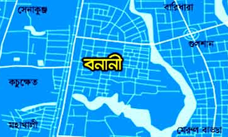 রাজধানীর বনানীতে ৮তলা ভবনে আগুন