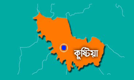 কুষ্টিয়ায় ট্রেনে কেটে নারী শ্রমিক নিহত