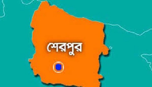 শেরপুরে জমির বিরোধে ইউপি চেয়ারম্যানের গুলিতে নিহত ১
