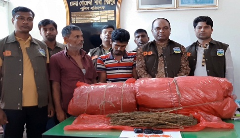 শেরপুরে ইয়াবা ও গাঁজাসহ বাবা-ছেলে আটক