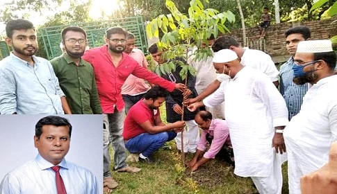 ঈশ্বরদী ও আঘোরিয়ায় ব্যারিষ্টার জিরুর সবুজায়নের উদ্যোগ