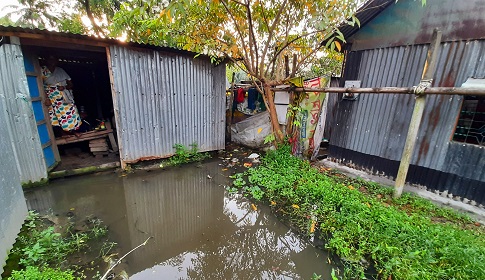 টানা বৃষ্টিতে কটিয়াদী পৌরসভার বিভিন্ন স্থানে জলাবদ্ধতা, জনদুর্ভোগ চরমে