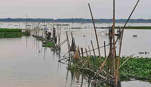 কেন্দুয়ায় নদীতে বাধ উঠিয়ে অবাধে চলছে পোনা মাছ নিধন