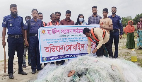 পাংশায় কারেন্ট জালসহ ১৫ কেজি ইলিশ জব্দ