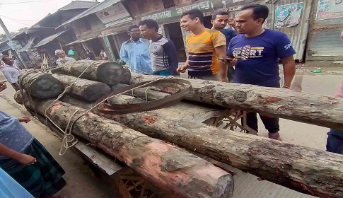 করাতকল থেকে নিষিদ্ধ সুন্দরী কাঠ জব্দ