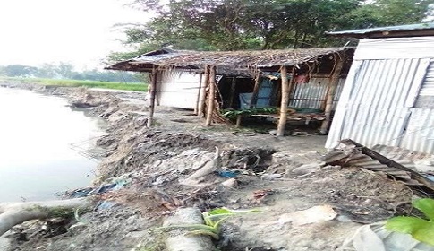 তিস্তার করাল গ্রাসে অর্ধশতাধিক বসতভিটা-ফসলি জমি বিলীন