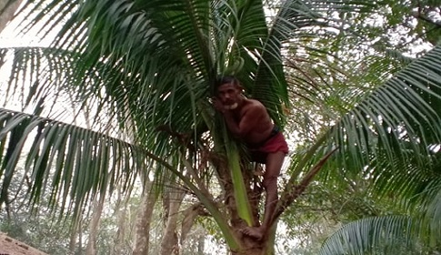 গলাচিপায় ঘরের অভাবে মানবেতর জীবন যাপন করছে কুদ্দুস আকনের পরিবার