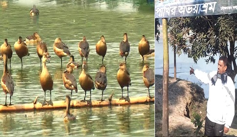মহাদেবপুরে পরিযায়ী পাখির অভয়াশ্রম গড়লেন হাজী মোয়াজ্জেম