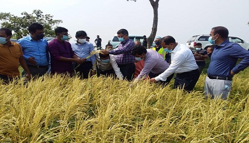 ‘ক্ষতিগ্রস্ত কৃষকের কান্না ও ফসলের মাঠ দেখে খুব কষ্ট লেগেছে’