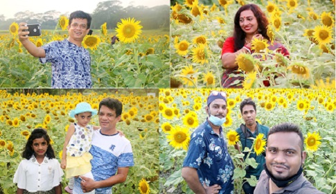 সূর্যমুখীর চাষে কৃষক হাসে