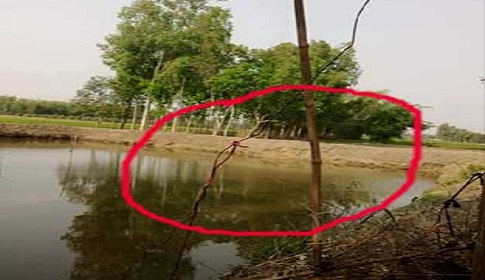 স্ত্রীকে বাঁচাতে গিয়ে বিদ্যুৎস্পৃষ্টে স্বামীর মৃত্যু