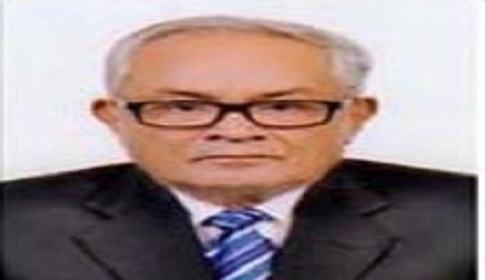 সর্বভারতীয় নেতা শেরে বাংলা এ কে ফজুলল হক