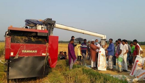 লক্ষ্মীপুরের কমলনগরে দরিদ্র কৃষকদের জন্য যুবলীগের ব্যতিক্রমী উদ্যোগ