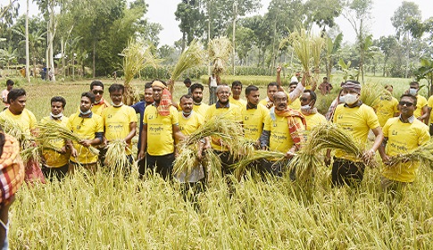 অসহায় কৃষকের ধান কেটে বাড়ি পৌঁছে দিল গোবিন্দগঞ্জ পৌর যুবলীগ