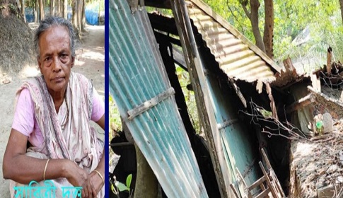 অসহায় বিধবাকে মারপিট করে বাড়ি ছাড়া করেছে স্বজনেরা!