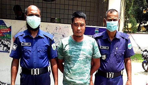 নওগাঁয় গাঁজার গাছসহ গ্রেফতার ১