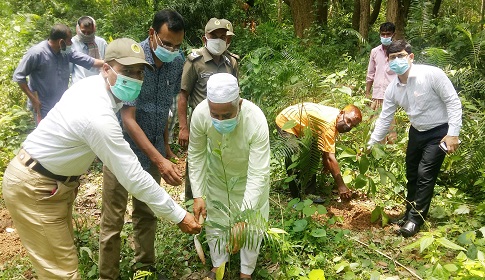 ধামইরহাটের আলতাদীঘি জাতীয় উদ্যানে রোপন করা হলো সাড়ে ২২ হাজার চারা